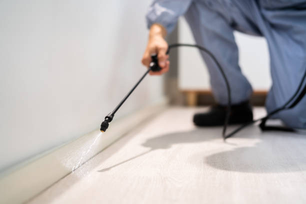 Licensed Exterminator service in Mounds, OK - Show Me Pest Control