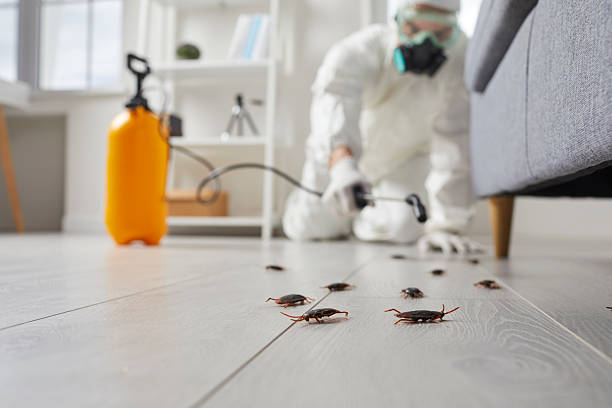 Commercial Rodent Management in Mounds